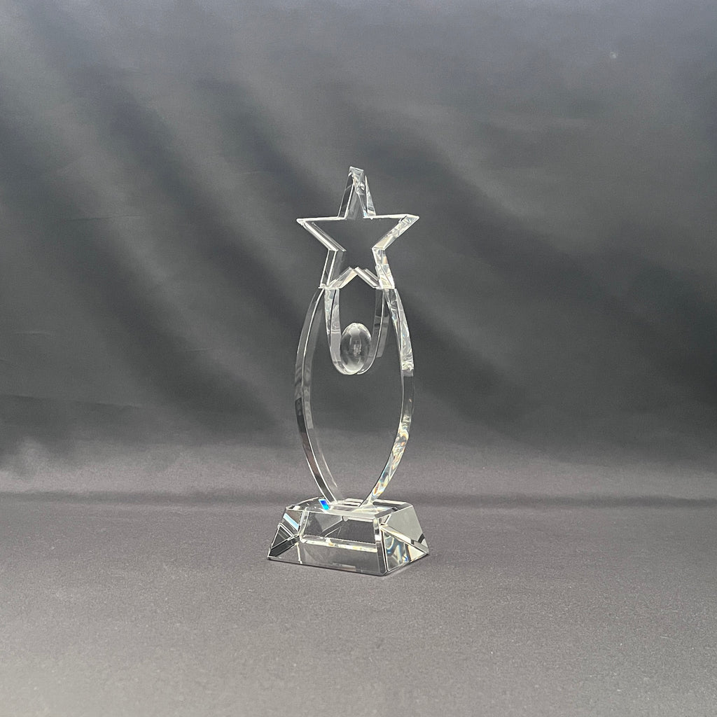 Sales star award 